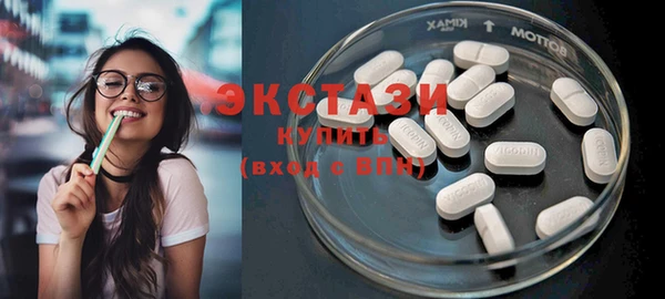тгк Снежногорск