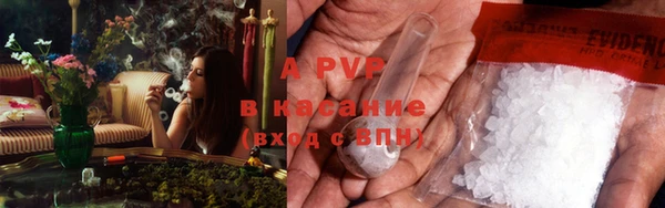 крисы Коряжма