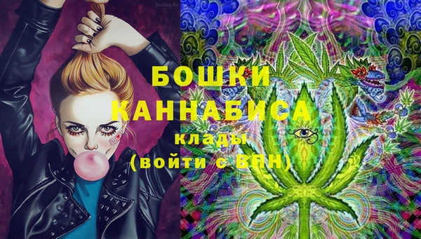 крисы Коряжма