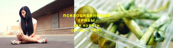 крисы Коряжма