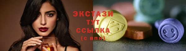 хмурый Краснослободск