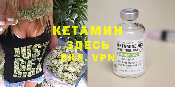 крисы Коряжма