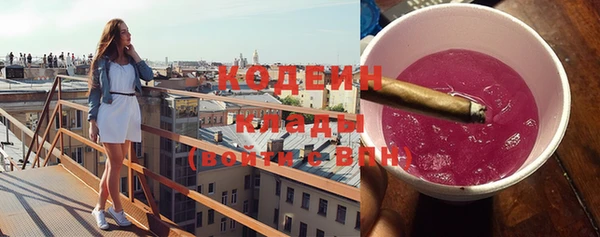 СК Кодинск