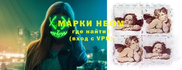 крисы Коряжма