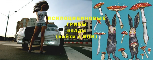 крисы Коряжма