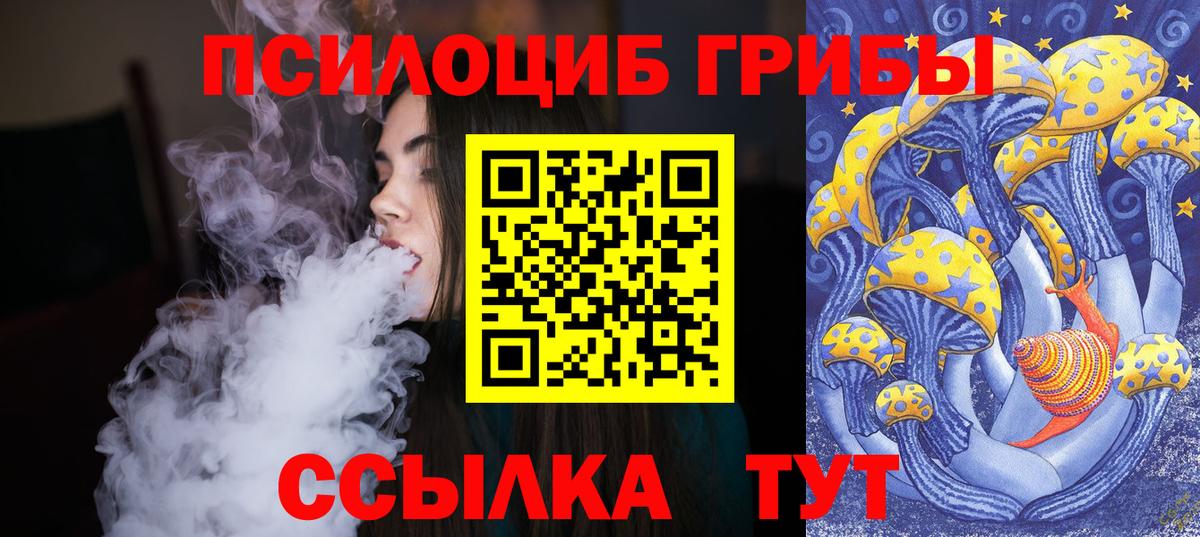 Псилоцибиновые грибы Psilocybe Калининград