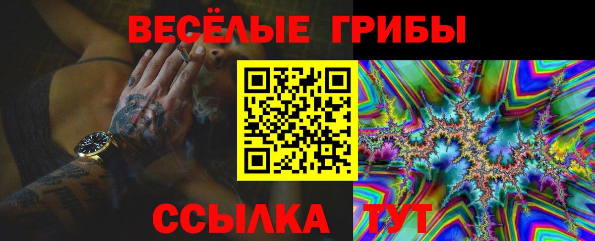 Галлюциногенные грибы Magic Shrooms Калининград