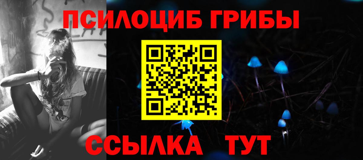 Псилоцибиновые грибы ЛСД  Калининград 