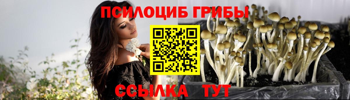 Псилоцибиновые грибы Psilocybe  Галлюциногенные грибы мицелий  Вход с VPN  хочу   Калининград 